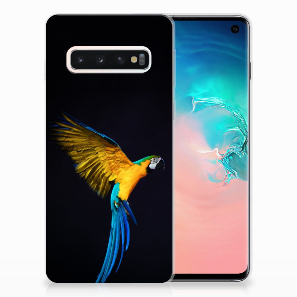 Samsung Galaxy S10 TPU Hoesje Papegaai