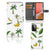 Samsung Galaxy A72 Hoesje Banana Tree