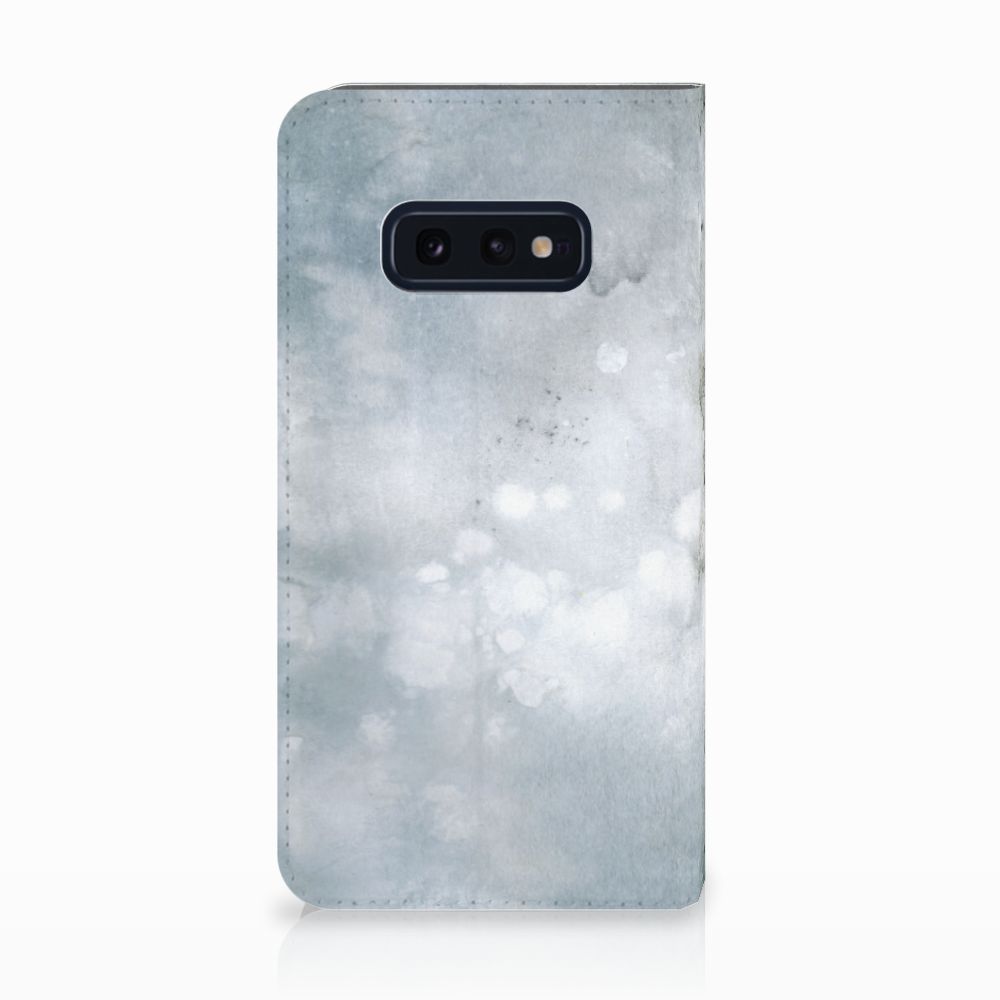 Bookcase Samsung Galaxy S10e Painting Grey