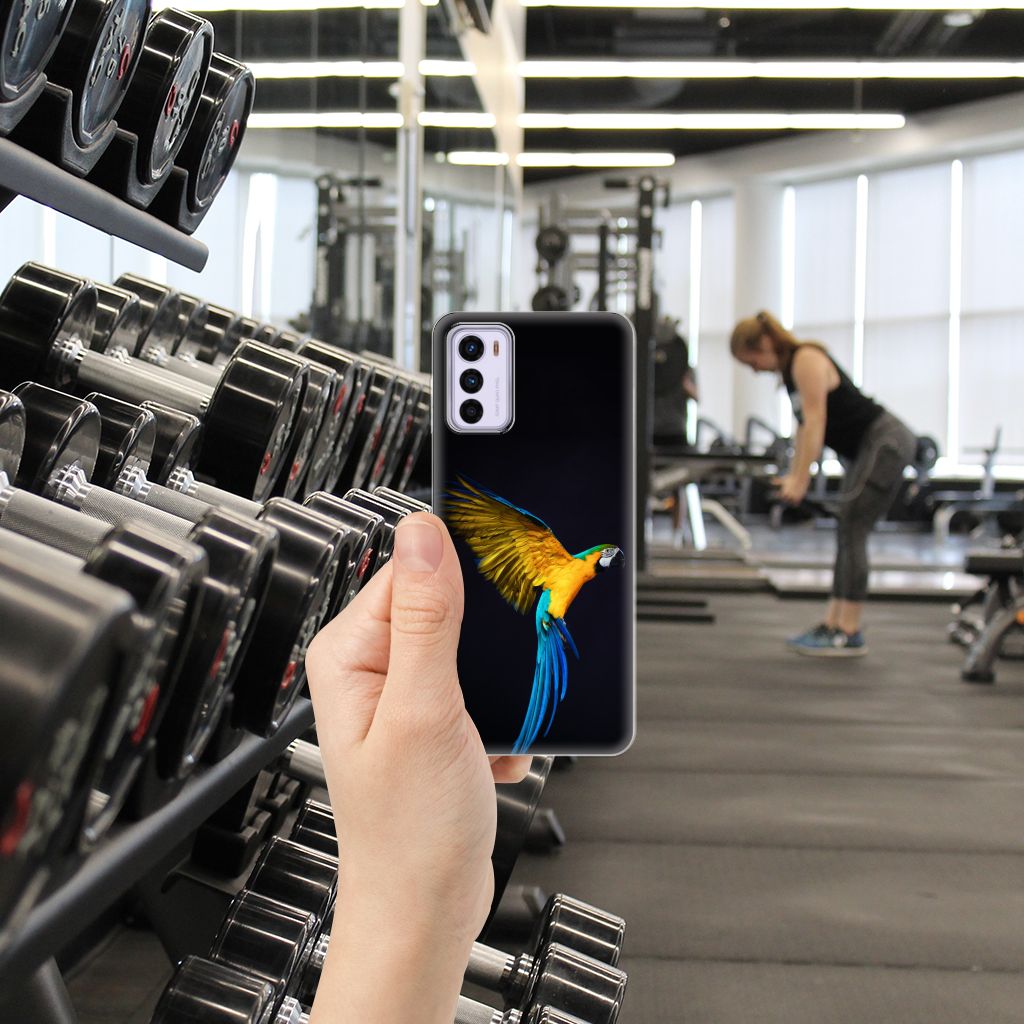 Motorola Moto G42 TPU Hoesje Papegaai B2C Telecom