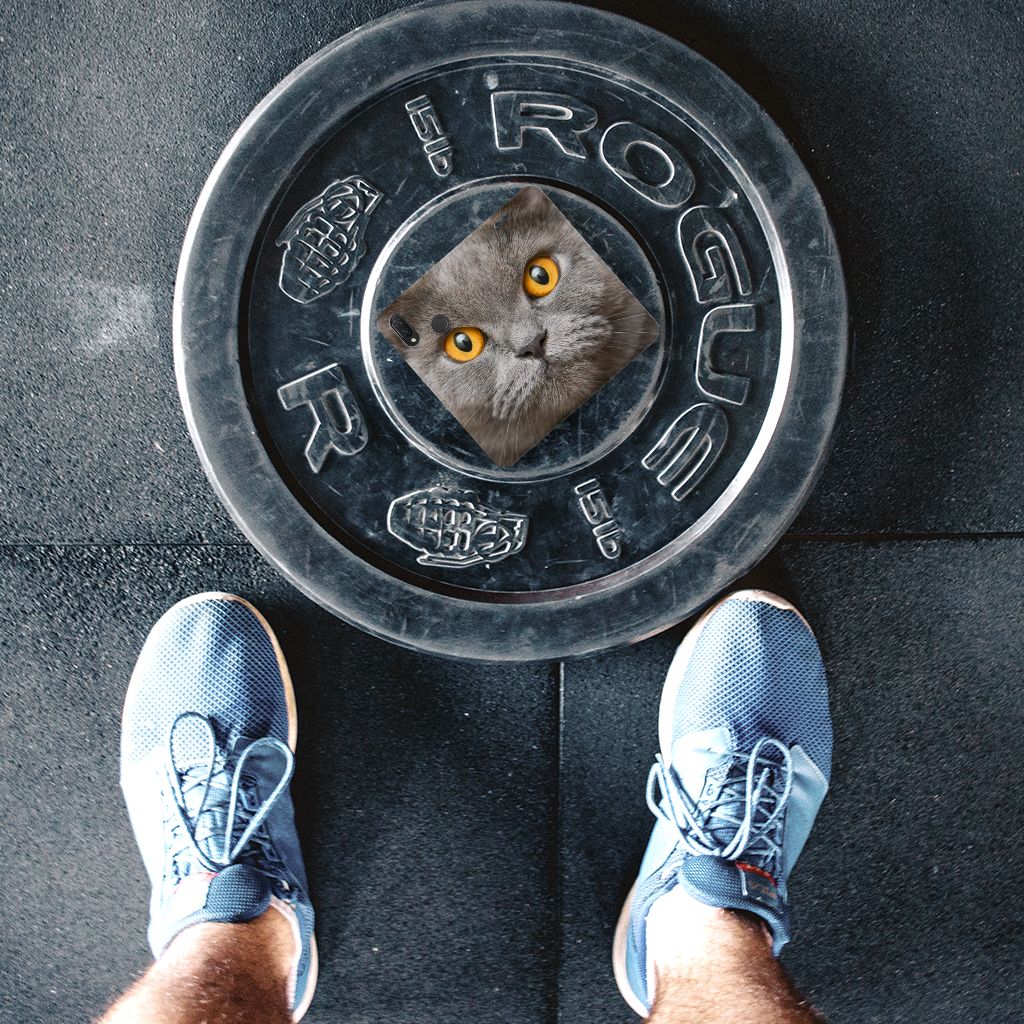 Hoesje maken Huawei P Smart Plus Britse Korthaar