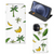 iPhone 12 Mini Smart Cover Banana Tree - B2C Telecom