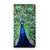 Samsung Galaxy A51 Hoesje maken Pauw - B2C Telecom