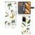 Poco F3 | Xiaomi Mi 11i Hoesje Banana Tree
