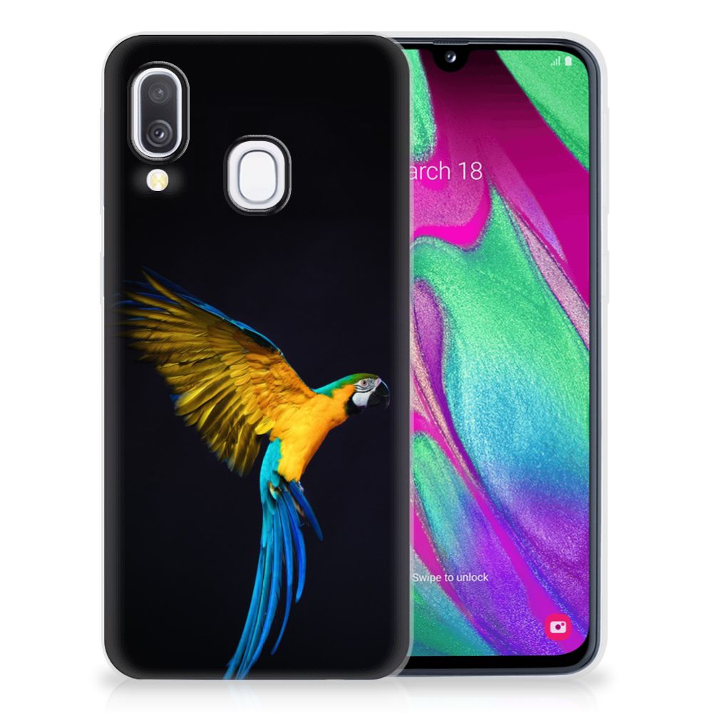 Samsung Galaxy A40 TPU Hoesje Papegaai