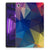 Lenovo Tab M10 Plus Back Cover Polygon Dark - B2C Telecom