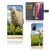 Samsung Galaxy Note 20 Telefoonhoesje met Pasjes Schaap en Lammetje