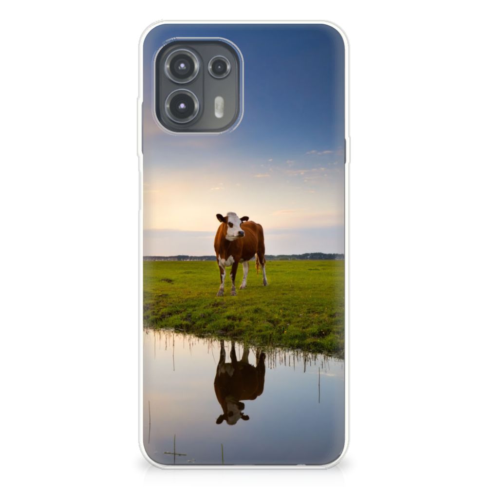 Motorola Edge 20 Lite TPU Hoesje Koe B2C Telecom