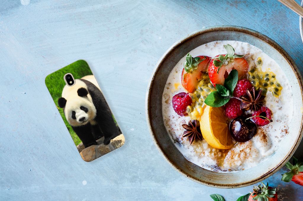 Samsung Galaxy J5 2017 TPU Hoesje Panda