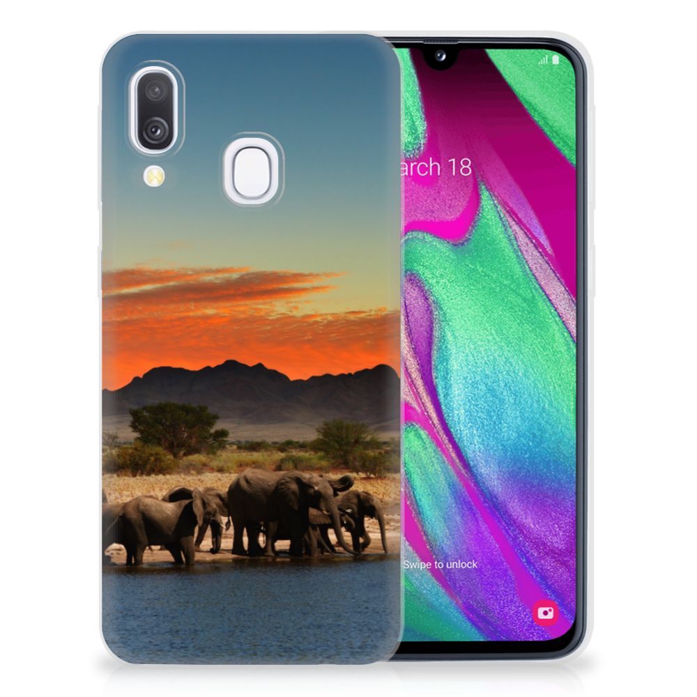 Samsung Galaxy A40 TPU Hoesje Olifanten