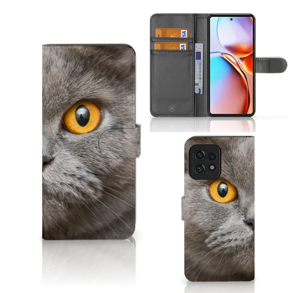 Telefoonhoesje met Pasjes Motorola Edge 40 Pro Britse Korthaar met indrukwekkende kat en pasjeshouder.