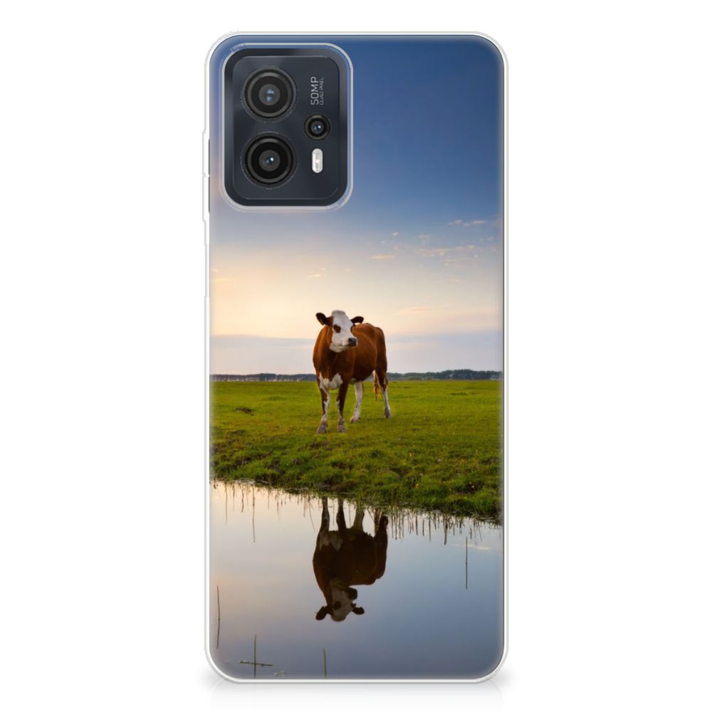 Motorola Moto G23 | G13 TPU Hoesje Koe