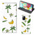 Samsung Galaxy A71 Smart Cover Banana Tree