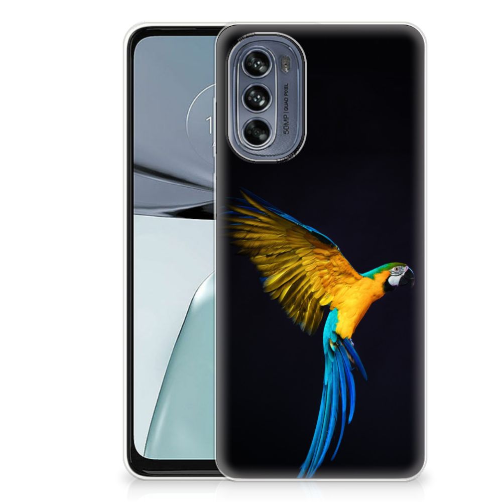 Motorola Moto G62 5G TPU Hoesje Papegaai