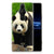 Sony Xperia Pro-I TPU Hoesje Panda B2C Telecom