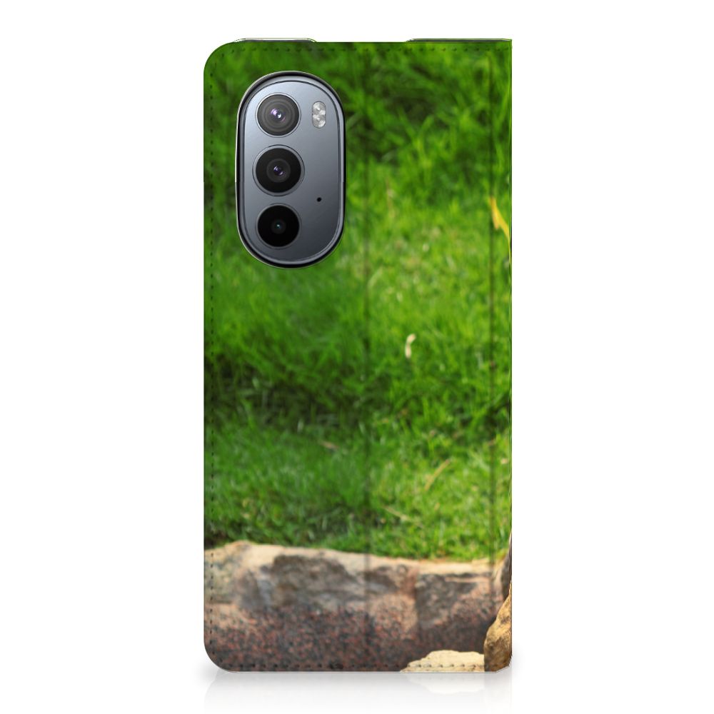 Motorola Edge 30 Pro Hoesje maken Panda - B2C Telecom