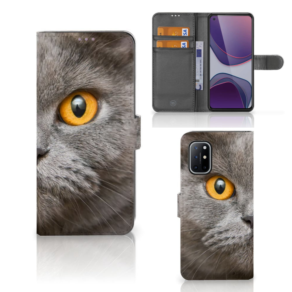 Telefoonhoesje met Pasjes OnePlus 8T Britse Korthaar, met indrukwekkende kat met gouden ogen.