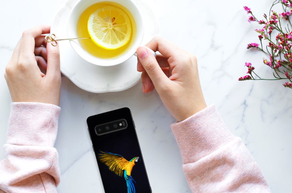Samsung Galaxy S10 Back Cover Papegaai B2C Telecom