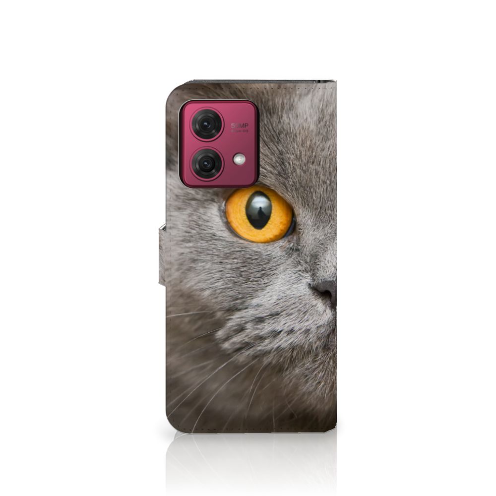 Telefoonhoesje met Pasjes Motorola Moto G84 Britse Korthaar met afbeelding van een Britse korthaar kat.