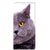 Samsung Galaxy A22 5G Hoesje maken Kat - B2C Telecom