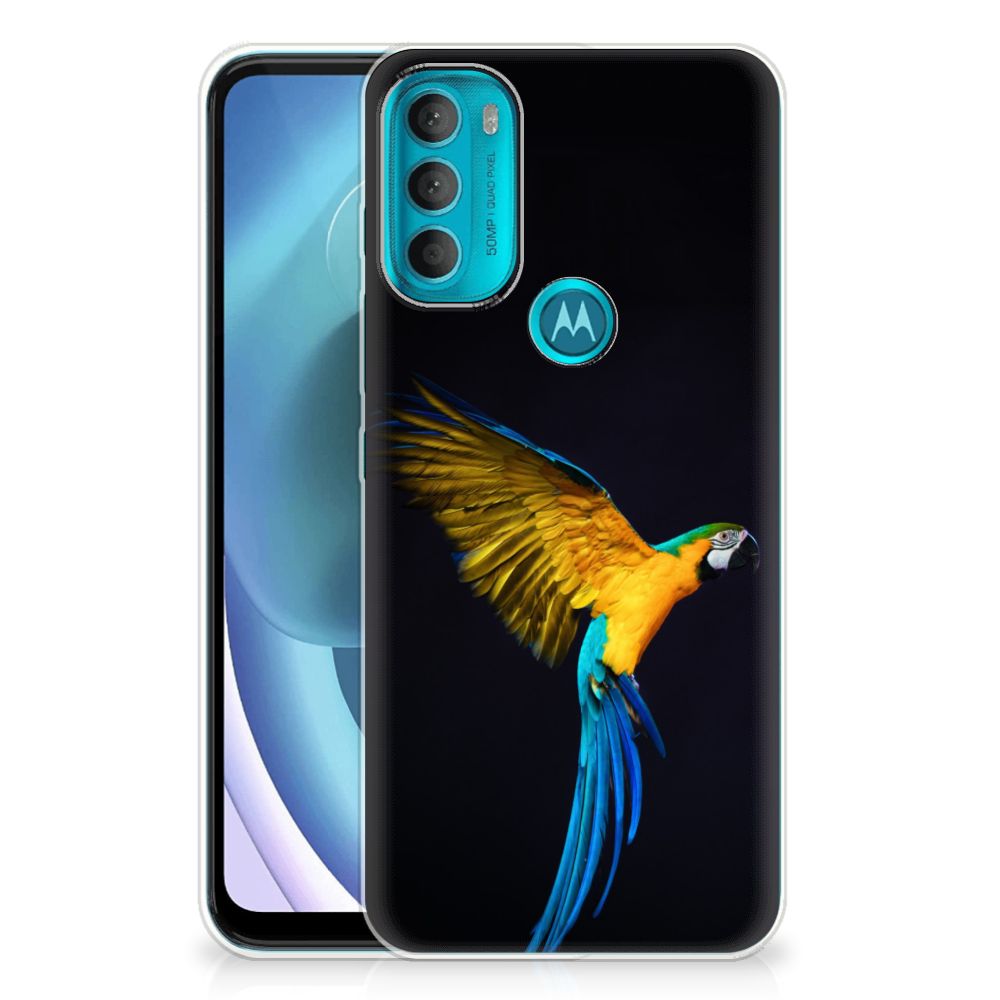 Motorola Moto G71 5G TPU Hoesje Papegaai