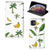 Apple iPhone 11 Smart Cover Banana Tree