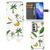 OPPO Find X3 Neo 5G Hoesje Banana Tree