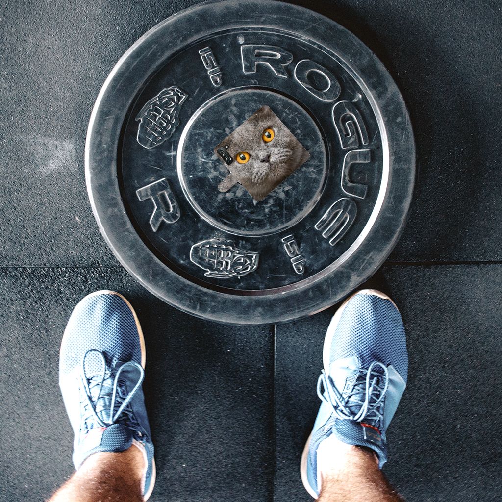 Telefoonhoesje met Pasjes Samsung Galaxy S22 Plus Britse Korthaar op gewichtsschijf met schoenen eronder.