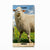 Nokia 2.1 2018 Hoesje maken Schaap en Lammetje