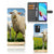 Xiaomi Redmi 10 Telefoonhoesje met Pasjes Schaap en Lammetje