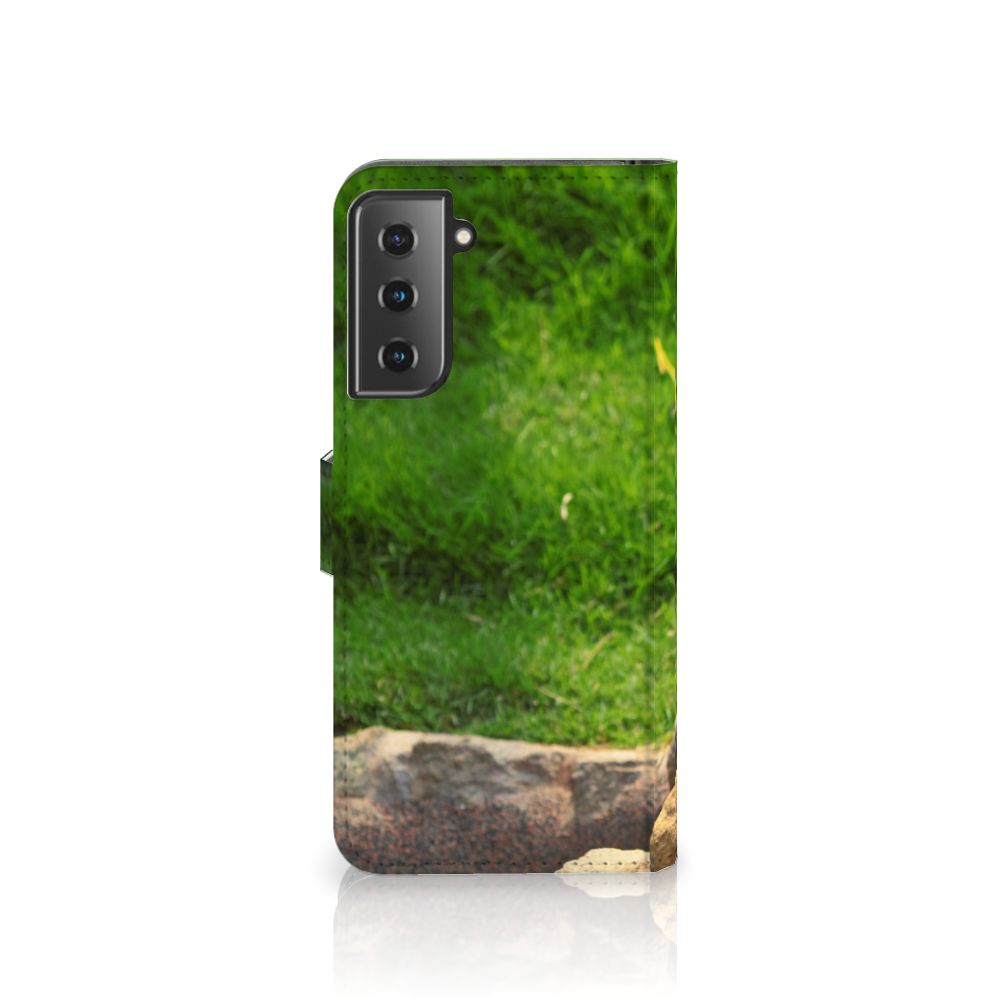 Samsung Galaxy S21 Plus Telefoonhoesje met Pasjes Panda
