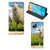 OPPO A15 Hoesje maken Schaap en Lammetje