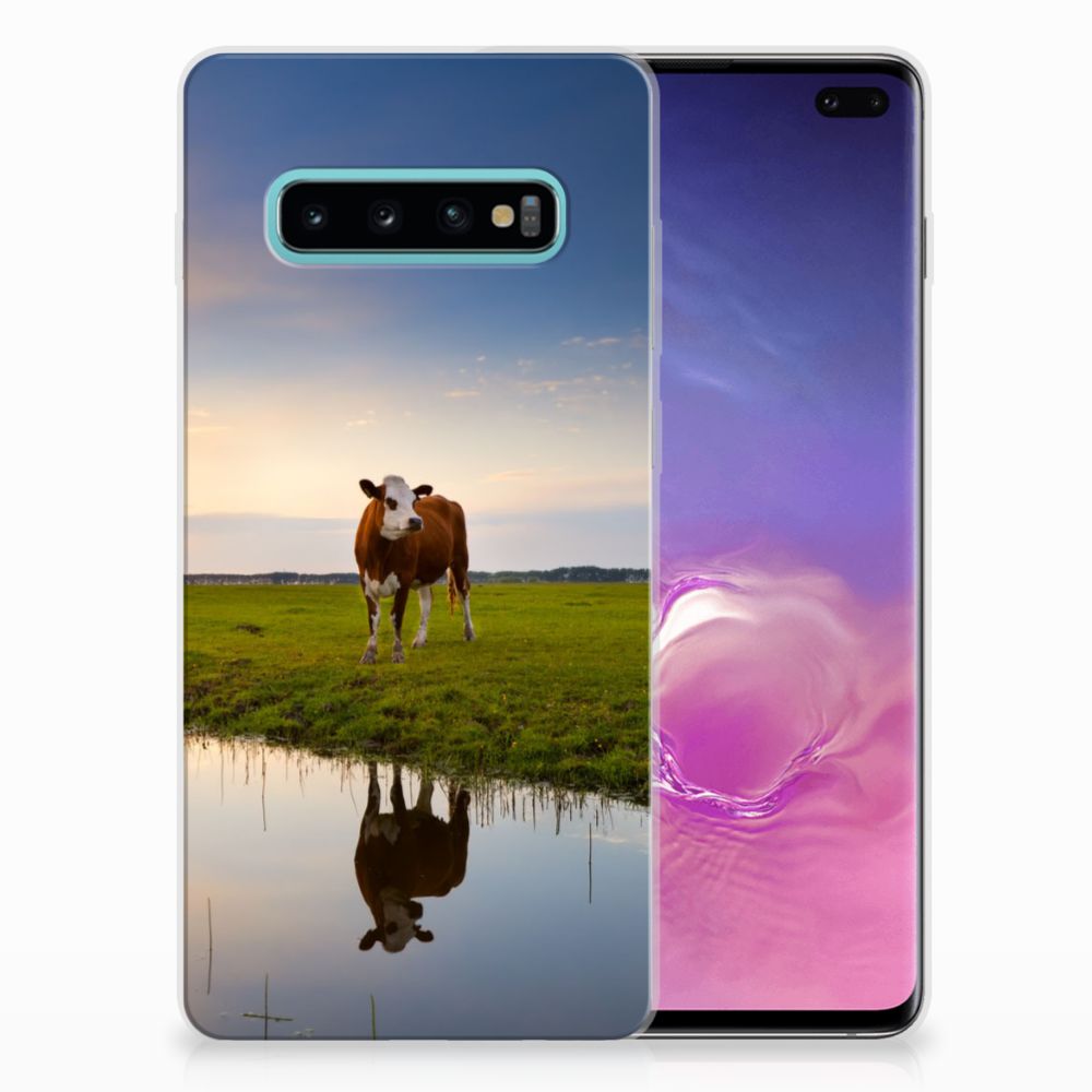 Samsung Galaxy S10 Plus TPU Hoesje Koe