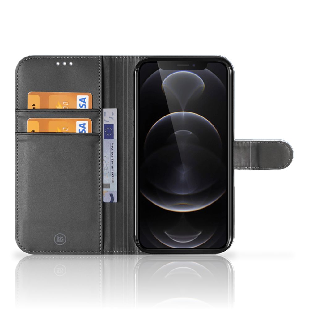 Apple iPhone 12 Pro Max Flip Cover Molen