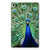 Lenovo Tab M10 Plus (3e generatie) Back Case Pauw - B2C Telecom
