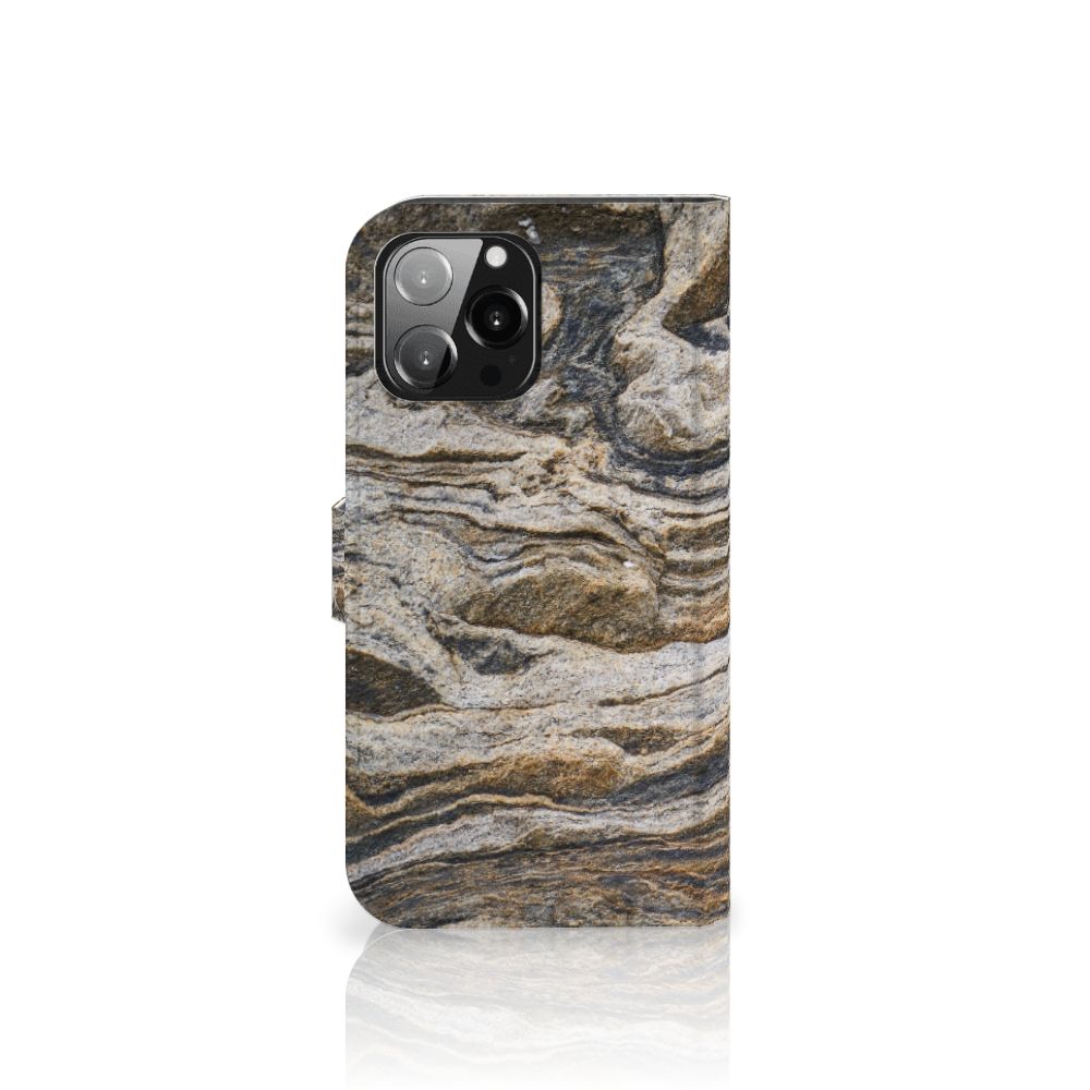 iPhone 13 Pro Max Bookcase Steen