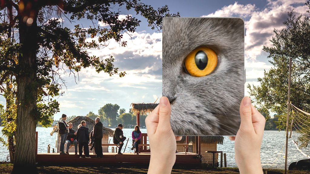 Britse Korthaar - voorkant