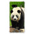 Google Pixel 7A Case Anti-shock Panda B2C Telecom