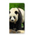 Google Pixel 9 | 9 Pro Hoesje maken Panda design panda aanzicht