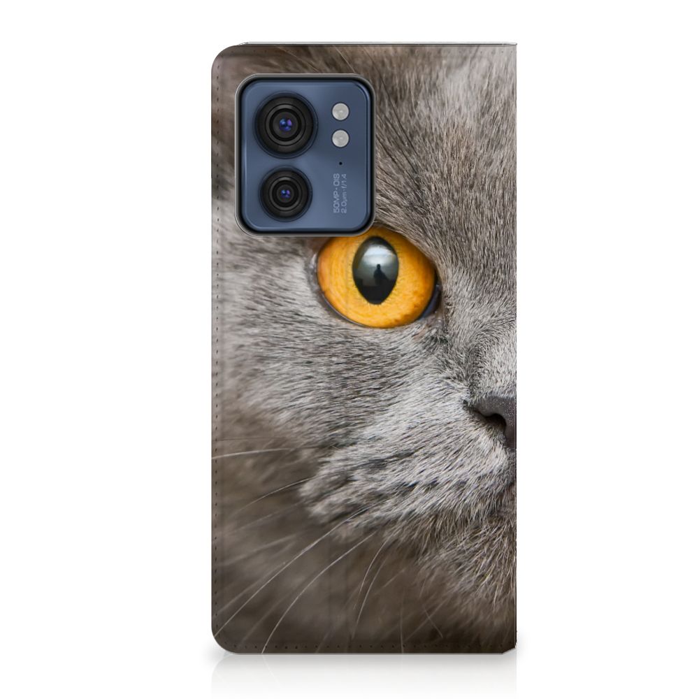Motorola Edge 40 hoesje maken Britse Korthaar design afbeelding aanzicht
