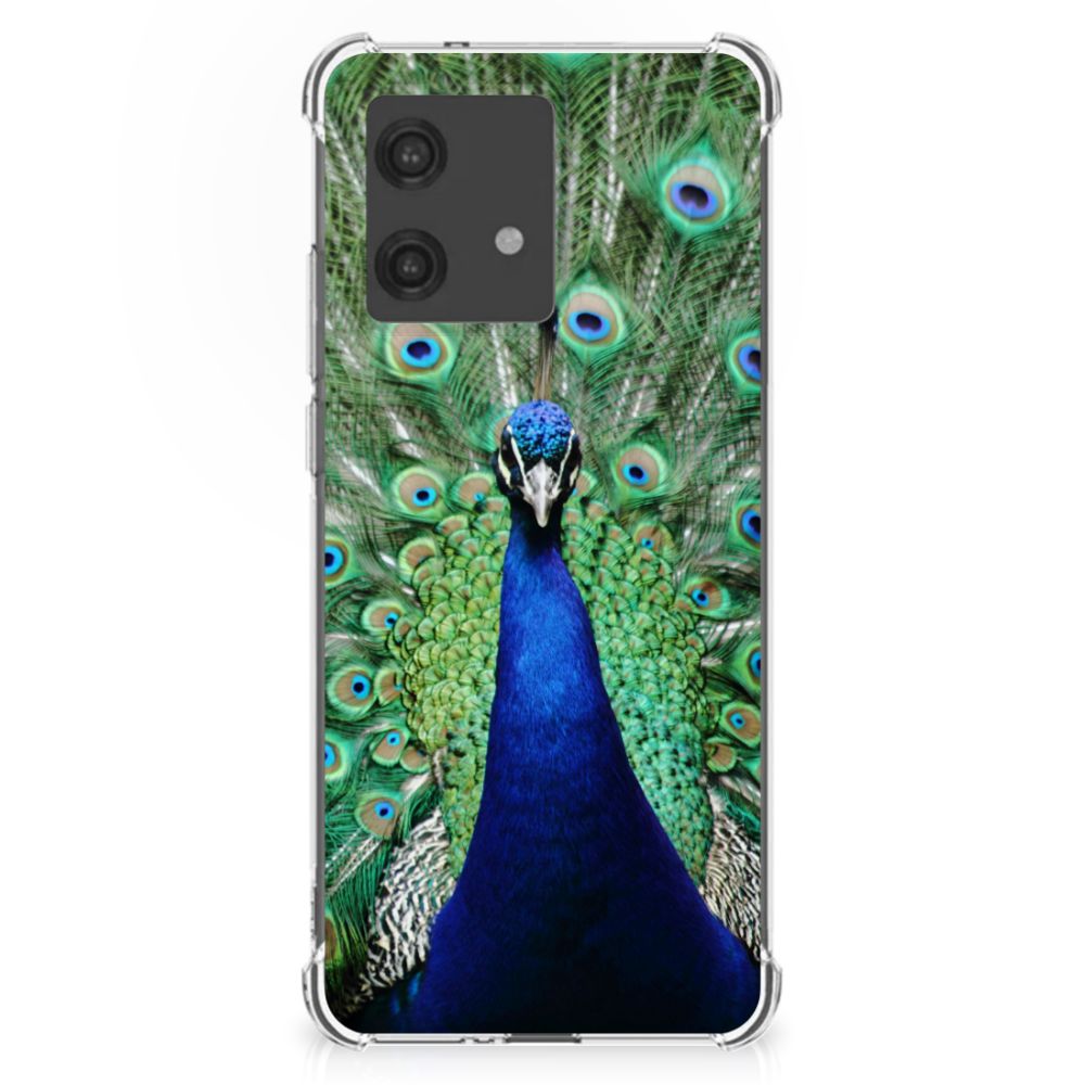 Motorola Edge 40 Neo Case Anti-shock Pauw pauw design voorkant