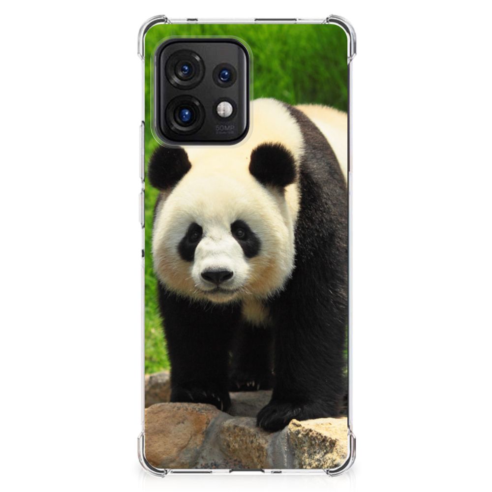 Motorola Edge 40 Pro Case Anti-shock Panda B2C Telecom