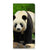 Motorola Moto G34 Hoesje maken Panda design panda aanzicht