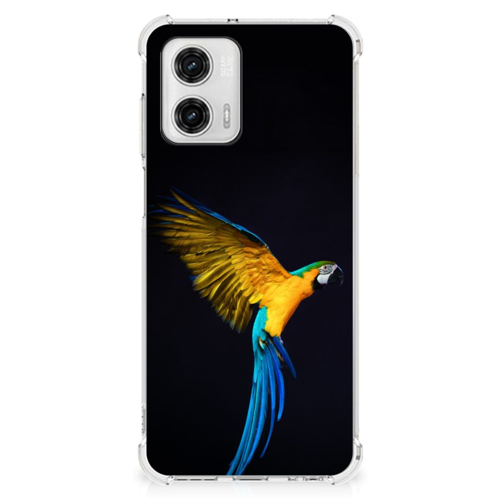 Motorola Moto G73 Case Anti-shock Papegaai B2C Telecom