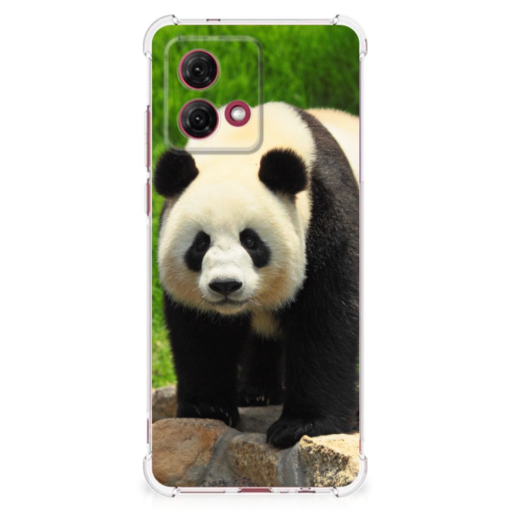 Motorola Moto G84 Case Anti-shock Panda panda design voorkant