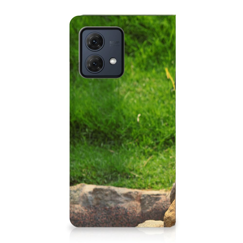 Motorola Moto G84 Hoesje maken Panda hoesje panda design voorzijde