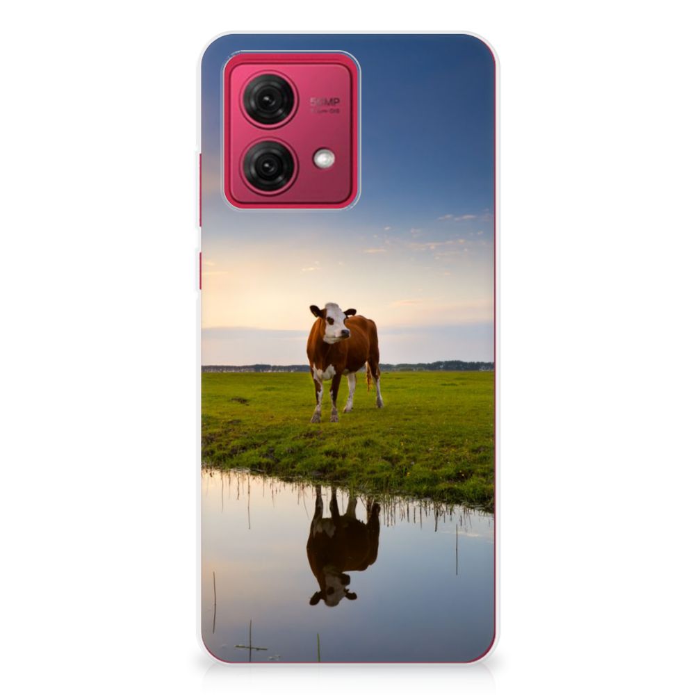 Motorola Moto G84 TPU Hoesje Koe koe ondergang zon design voorkant