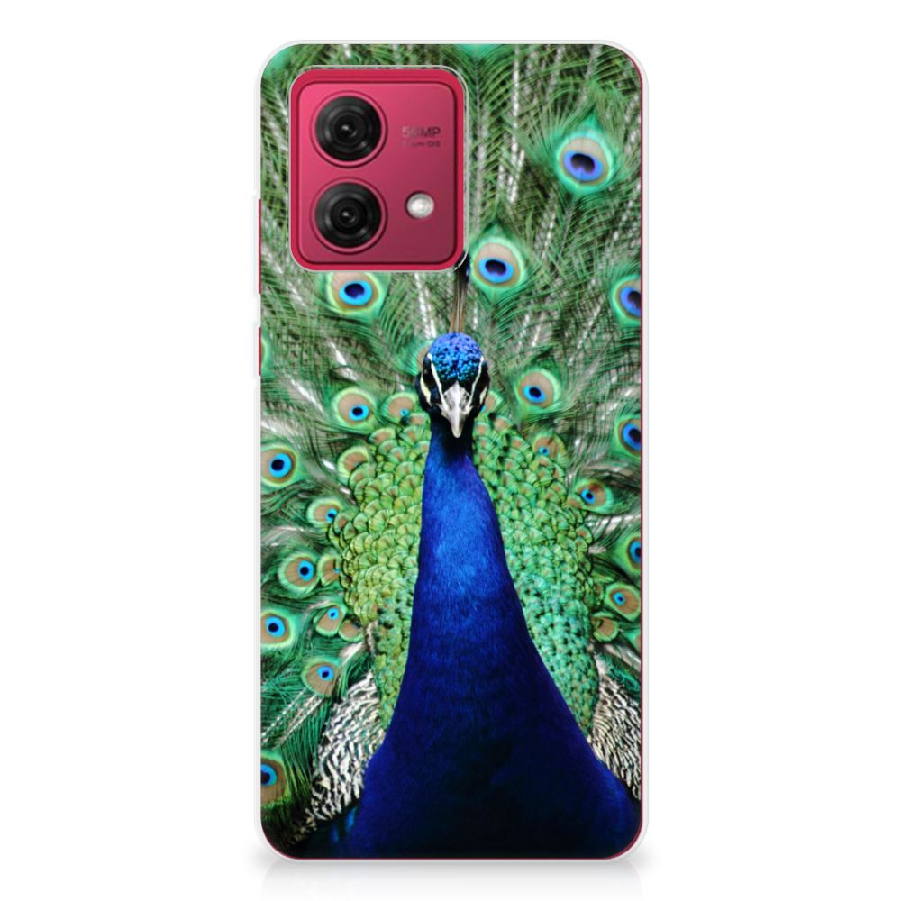 Motorola Moto G84 TPU Hoesje Pauw pauw design achteraanzicht