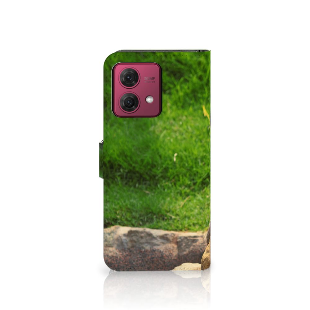 Motorola Moto G84 Telefoonhoesje met Pasjes Panda designnaam aanzicht