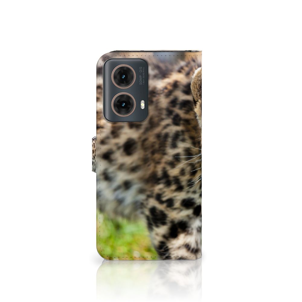 Motorola Moto G85 Telefoonhoesje met Pasjes Baby Luipaard design baby luipaard aanzicht